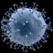 ВОЗ объявила глобальную чрезвычайную ситуацию из-за коронавируса ...
